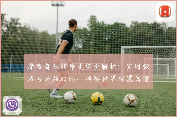 摩洛哥队赔率走势全解析：实时数据与历届对比，洞察世界杯黑马潜力